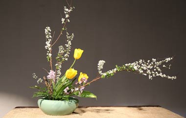 中國插花學(xué)習(xí)課堂開課啦