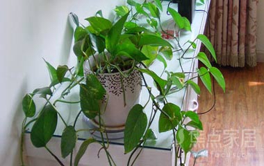 裝修設計帶回家，感受輕快簡約臺式風格