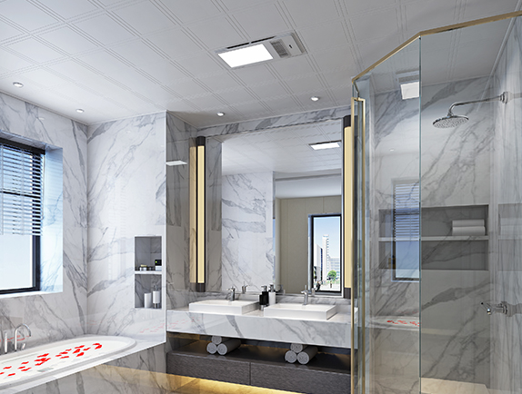 集成吊頂300系列（加盟商專(zhuān)供）納米純白-雙凸套框效果圖