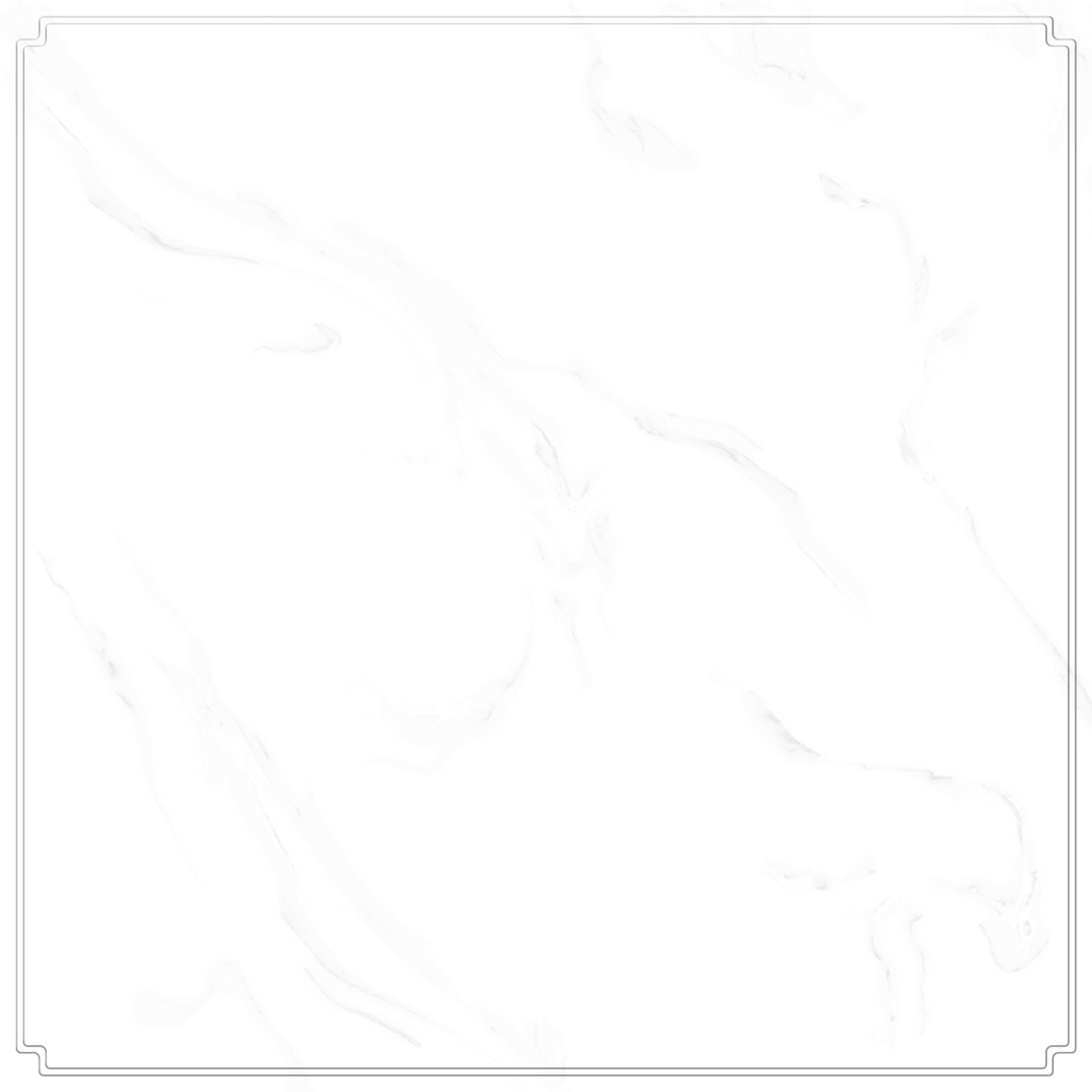 1585636425371894.jpg 圖9高雅-白.jpg