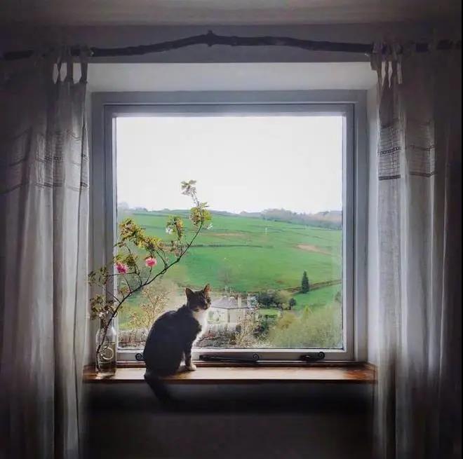 1592271970291983.jpg WeChat Image_20200616094443.jpg