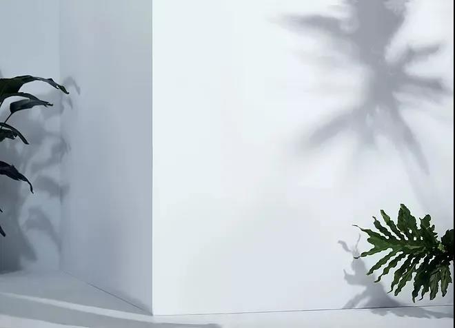 1597627614493014.jpg WeChat Image_20200817091417.jpg