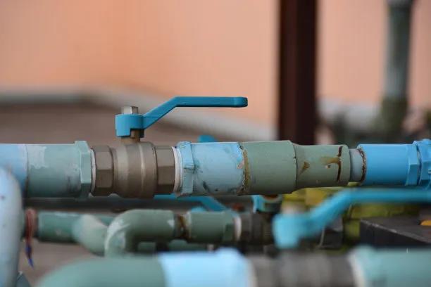 1597627920580884.jpg WeChat Image_20200817091501.jpg